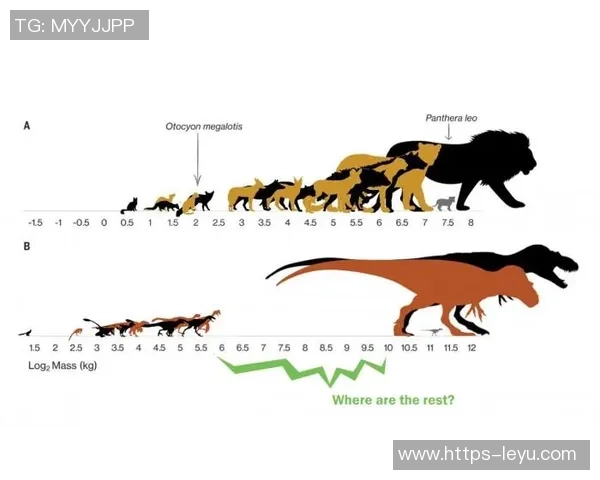 奥拉朱旺足球的崛起与发展探讨及其对中国足球的影响分析 奥拉朱旺足球的崛起与发展探讨及其对中国足球的影响分析