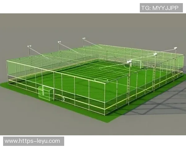 探索Nike铁笼足球的魅力与技术革新,提升你的足球技能与比赛体验 探索Nike铁笼足球的魅力与技术革新,提升你的足球技能与比赛体验